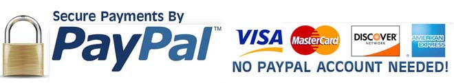 Secure PayPal Check out